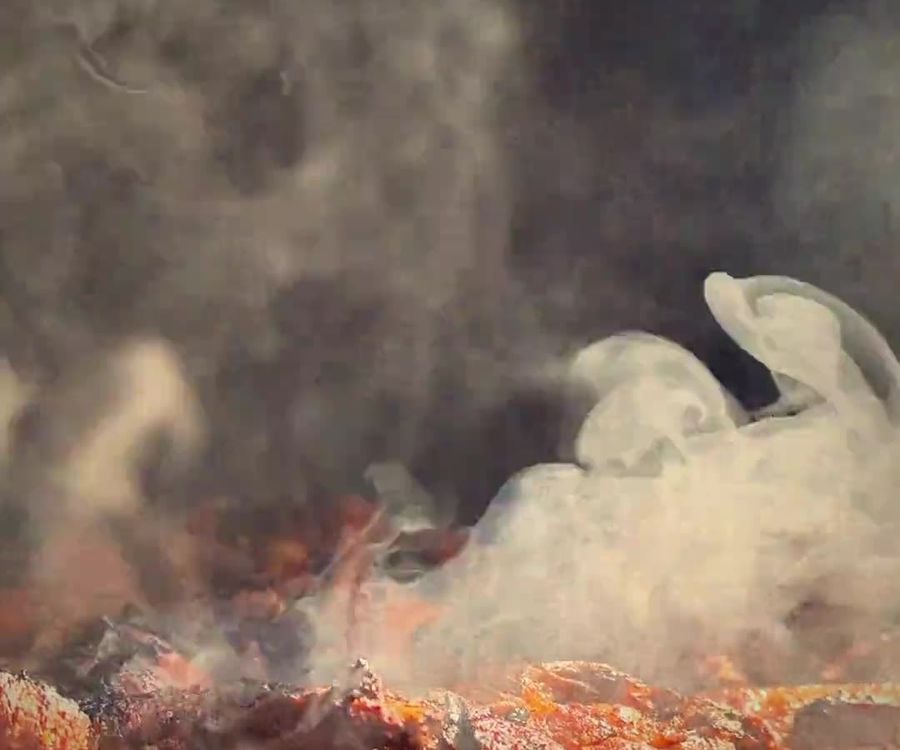 Carne ahumándose sobre la parrilla