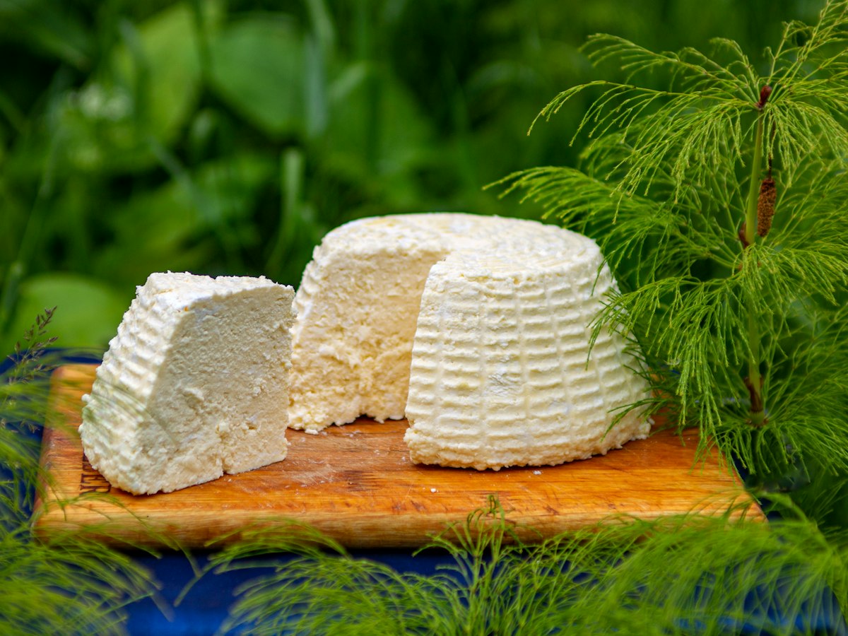 Queso panela natural
